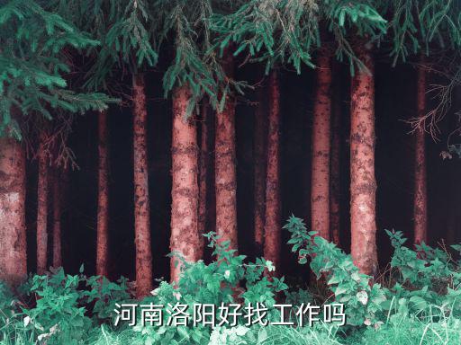 在洛阳找个保姆的工作怎么样，洛阳找工作
