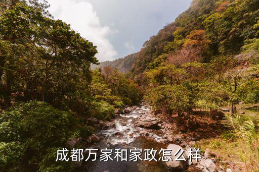 成都万家和家政怎么样