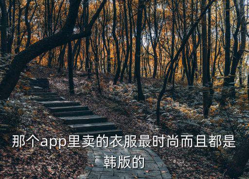那个app里卖的衣服最时尚而且都是韩版的