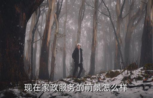 家政服务中心怎么样，昆明望安家政公司的服务怎样大家说一说
