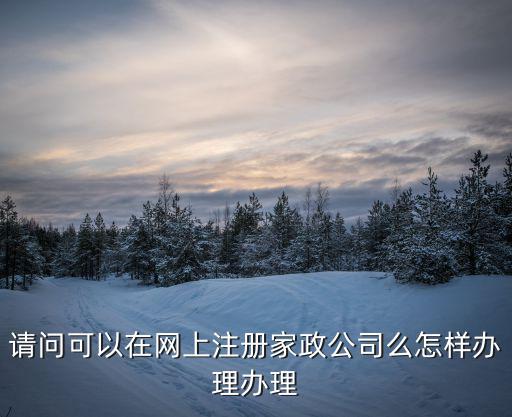 请问可以在网上注册家政公司么怎样办理办理