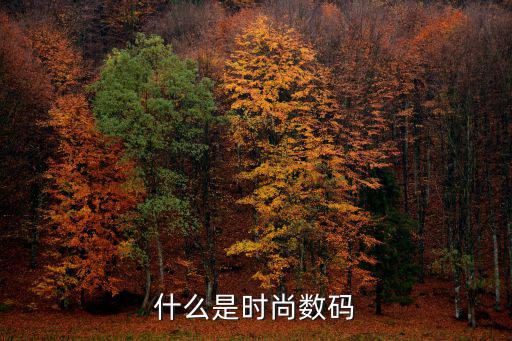 数字时尚学什么，什么是数码时尚你了解吗