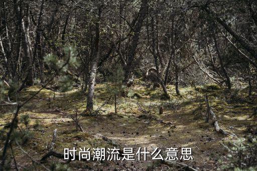 时尚潮流是什么意思