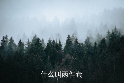 韩国名媛时尚两件套是什么，网络火爆款韩版短袖背心两件套 背心T恤那个裤子是什么