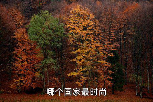 哪个国家最时尚