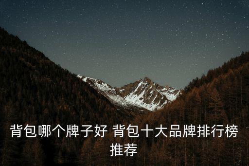 哪个品牌的时尚背包好，那个牌子的 背包比较好