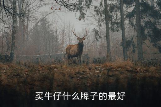 牛仔衣哪个品牌时尚，买牛仔什么牌子的最好