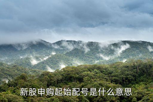 新股申购起始配号是什么意思