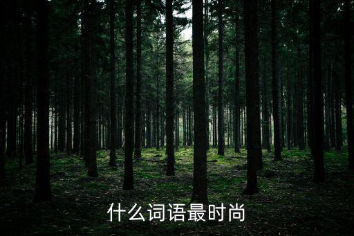 什么词语最时尚