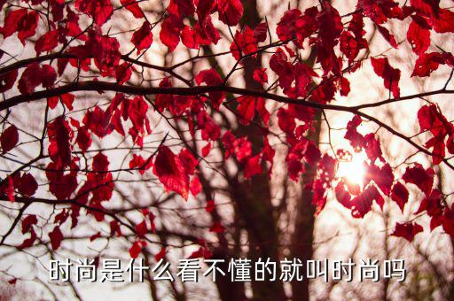 时尚是什么看不懂的就叫时尚吗