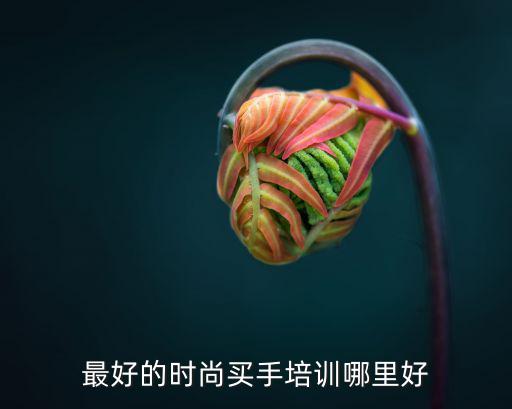 身为时尚买手的你在做什么，服装行业的买手主要是做什么