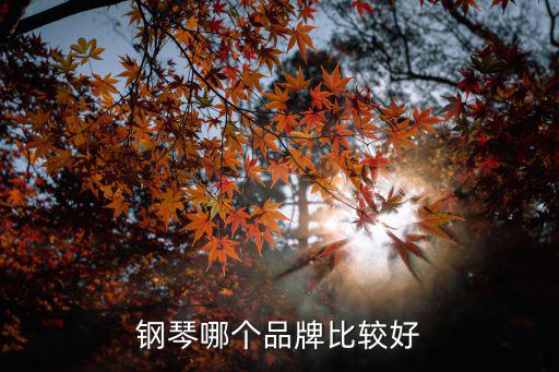 时尚钢琴都有什么，有没有外观时尚点的钢琴啊
