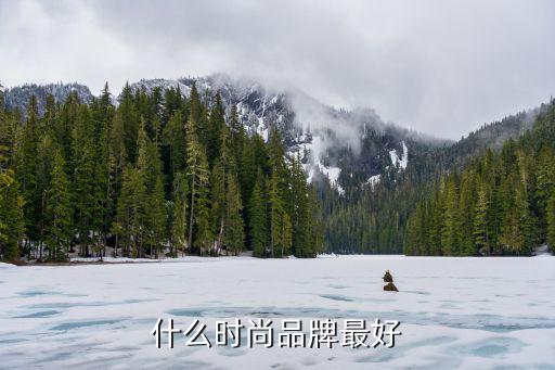什么时尚品牌最好