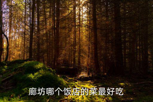 廊坊哪个饭店的菜最好吃
