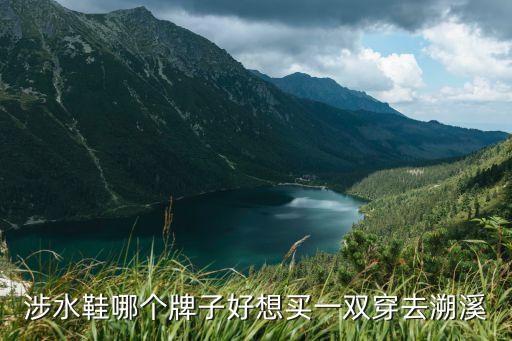 水鞋时尚是哪个牌子，那么多的涉水鞋品牌请问adidas涉水鞋怎样