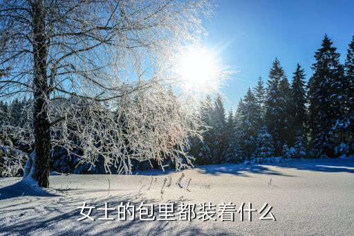 时尚包包里面的钱包是什么，我是个时尚女孩 我买了好大的包包 里面放什么东东呢 大家都来说说看吧