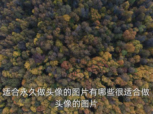 适合永久做头像的图片有哪些很适合做头像的图片