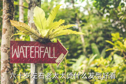 六十岁左右老太太烫什么发型好看
