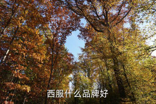 西服什么品牌好