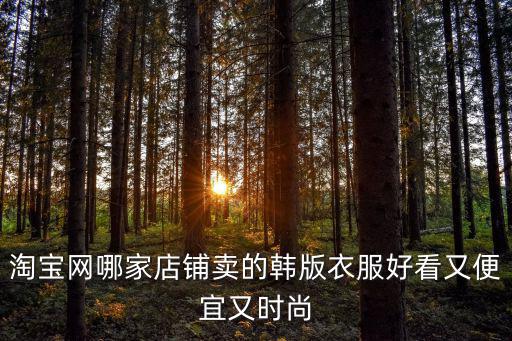 哪个店铺衣服时尚又实惠，求时尚女士推荐一些好看便宜质量好衣服的店铺谢谢