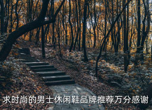 求时尚的男士休闲鞋品牌推荐万分感谢
