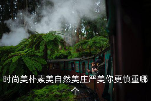 时尚美朴素美自然美庄严美你更慎重哪个