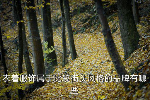 衣着服饰属于比较街头风格的品牌有哪些