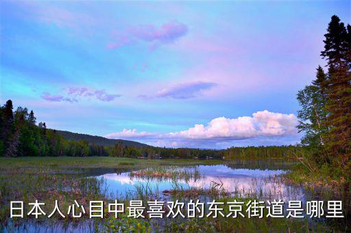 东京时尚街叫什么名字，harajuku是什么地方 harajuku是一种什么文化