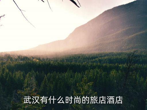 武汉有什么时尚的旅店酒店