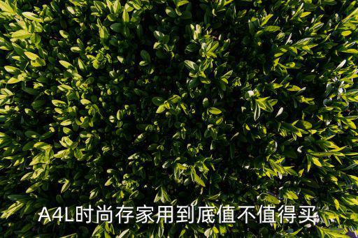 A4L时尚存家用到底值不值得买