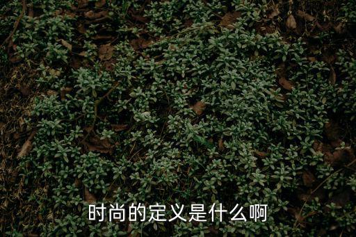 时尚的定义是什么啊