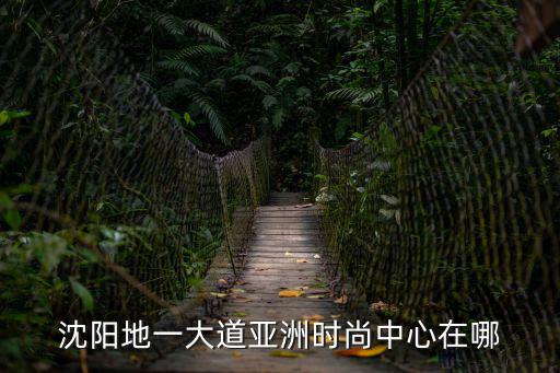 沈阳地一大道亚洲时尚中心在哪