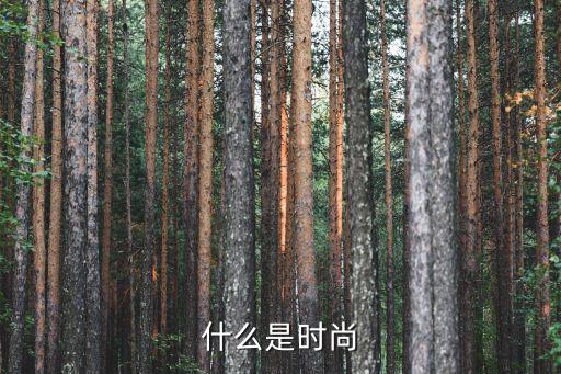 时尚是什么时候写的小说，什么是时尚深刻内涵