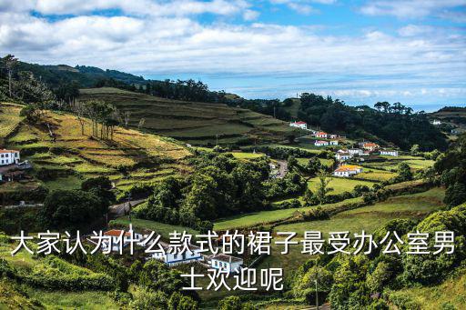 大家认为什么款式的裙子最受办公室男士欢迎呢