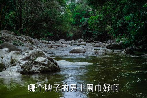 哪个牌子的男士围巾好啊