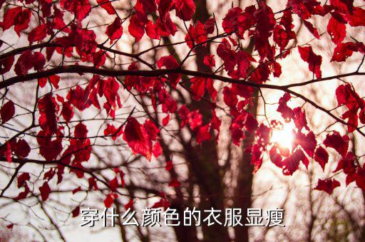 什么颜色穿起来减龄时尚，穿什么颜色的衣服会显的瘦