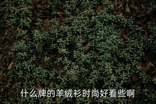 哪个牌子羊毛衫时尚，什么牌的羊绒衫时尚好看些啊