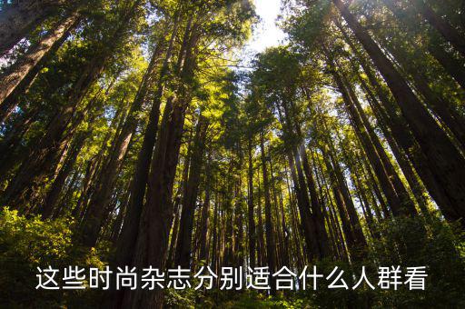 优雅时尚和知性时尚哪个好，fantissu的衣服 是什么牌子