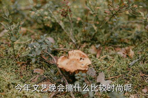 时尚晚会都有什么，今年文艺晚会搞什么比较时尚呢