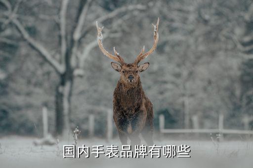 时尚手表买什么牌子好一点，国内手表品牌有哪些