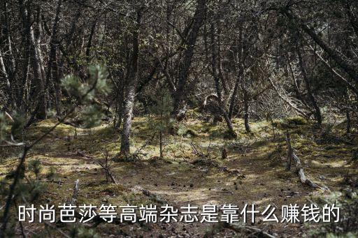 时尚凭什么赚钱，海报时尚网靠什么挣钱