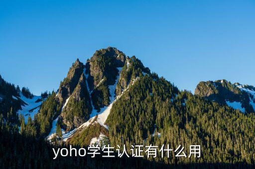 时尚领域认证有什么用，yoho学生认证有什么用