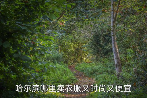 哈尔滨哪里卖衣服又时尚又便宜