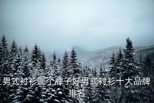 男式衬衫哪个牌子好男式衬衫十大品牌排名