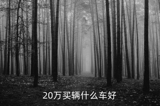 20万左右买什么时尚车好，20万买辆什么车好
