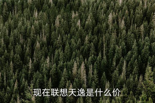 天逸16t时尚版什么价，现在联想天逸是什么价