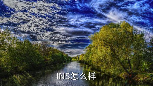 INS怎么样