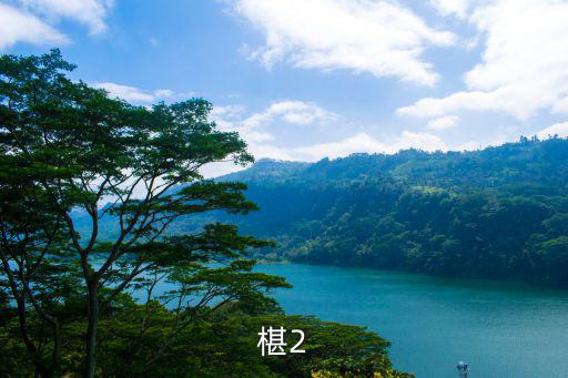 椹2