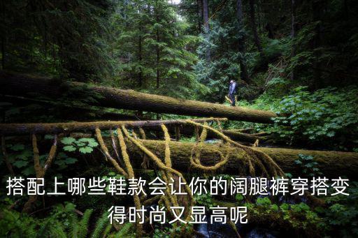 青年穿什么时尚鞋子显高，搭配上哪些鞋款会让你的阔腿裤穿搭变得时尚又显高呢