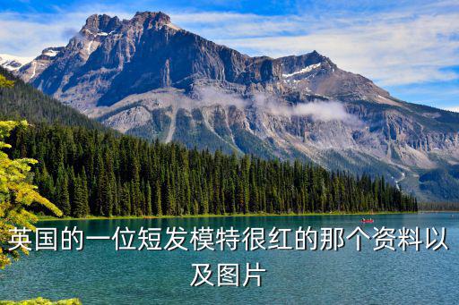 英国的一位短发模特很红的那个资料以及图片